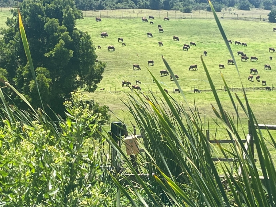  Bedroom Property for Sale in Plettenberg Bay Rural Western Cape